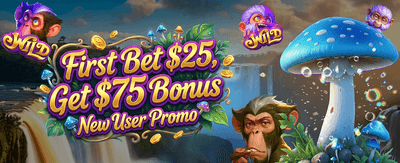 Daily Spin Rewards